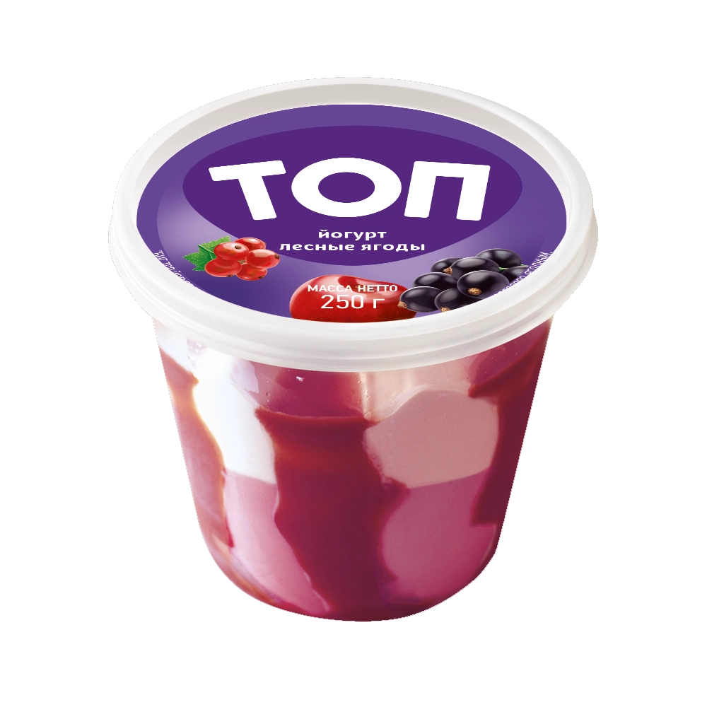 Мороженое  БИГ ТОП сливочное Йогурт-лесные ягоды  250г